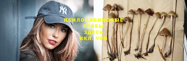 ГАЛЛЮЦИНОГЕННЫЕ ГРИБЫ Алексеевка