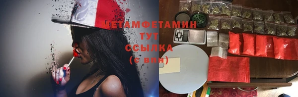 ГАЛЛЮЦИНОГЕННЫЕ ГРИБЫ Алексеевка