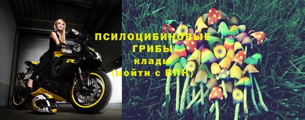 ешки Алексин