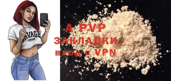 ешки Алексин