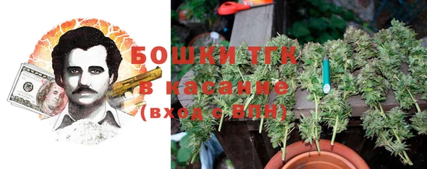 ГАЛЛЮЦИНОГЕННЫЕ ГРИБЫ Алексеевка