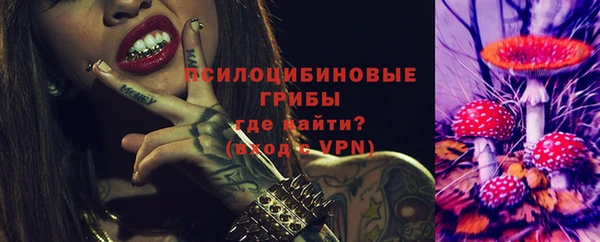 ешки Алексин